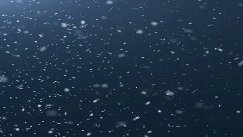 4k Realistic Large and small snow snowflakes. Video stock 106145880