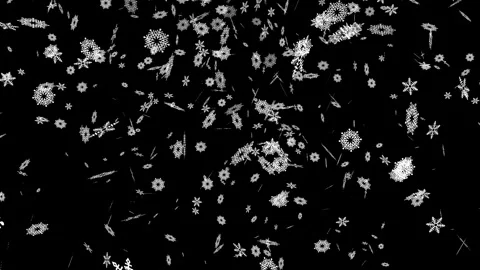 4K Realistic Snowfall with the winter background, falling snowflakes Stock Footage 285386281
