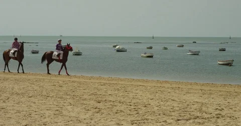 4K red camera, Slow motion of two jockeys go horseback riding on the beach Stock Footage 75422294