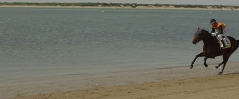 4K red camera, Slow motion horse race on the shore of Sanlucar beach, Cadiz Stock Footage 75423228
