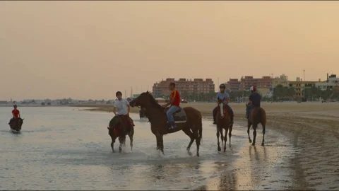 4k red camera, SM. Group of horses training for the race at the seashore. Stock Footage 75422425