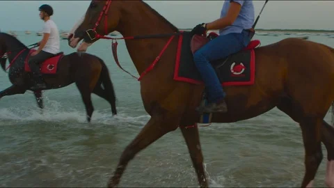 4k red camera SM. Group of horses training for the race at the seashore. Stock Footage 75422472