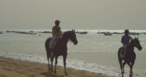 4K red camera, SM horse race on the shore of Sanlucar beach. Turf thoroughbred Stock Footage 75423257