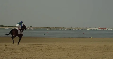 4K red camera, SM horse race on the shore of Sanlucar beach. Turf thoroughbred Stock Footage 75423332