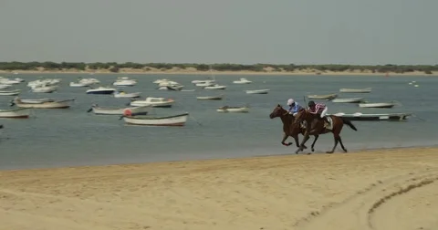 4K red camera, SM horse race on the shore of Sanlucar beach. Turf thoroughbred Stock Footage 75423441