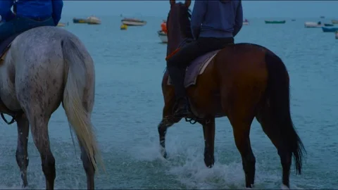 4k red camera, SM Rider training an English Thoroughbred horse on the beach Stock Footage 75422666