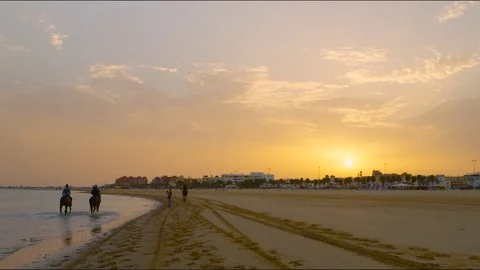 4k red camera, SM Rider training an English Thoroughbred horse on the beach Stock Footage 75422708