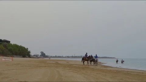 4k red camera, SM Rider training an English Thoroughbred horse on the beach Stock Footage 75422829