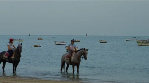 4k red camera, SM Rider training an English Thoroughbred horse on the beach Stock Footage 75422891