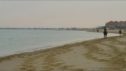 4k red camera, SM Rider training an English Thoroughbred horse on the beach Stock Footage 75422912