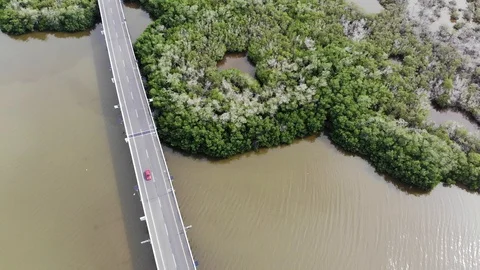 4K Red car over mangrove Stock Footage