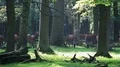 4k Red Deers horde in oak and beech forest close up 4k or 4k+ Resolution