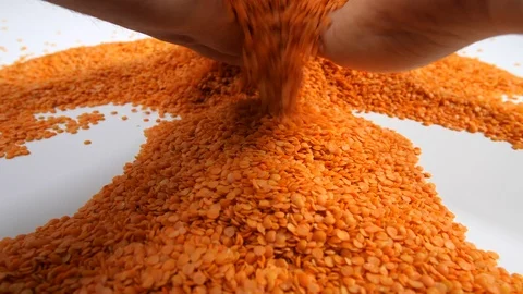 4K Red dry lentils picked up by farmers or chefs hands and pouring on pile Stock Footage 90028476