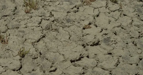 4K RED EPIC, image of dry clay soil in summer. Clay cracks due to lack of water Stock Footage 106932642