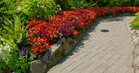 4K Red Flowers along Path, Butchart Gardens Video stock 41582025