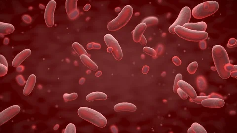 4K Red moving translucent bacteria close up. Loop. Video stock 127176629