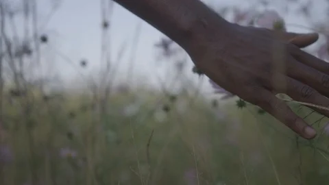 4K RED Slow Motion African man running hand through flowers Видео 99087519