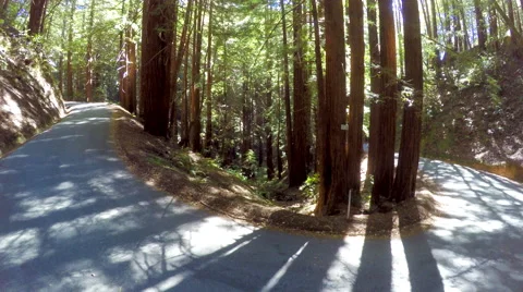 4k Redwood Forest Aerial Flying Valley Trees Sun and Road Stock Footage 59807202