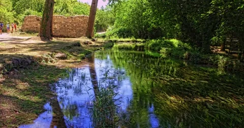 4K Reflection in the river Stock Footage 46029944