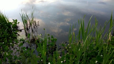 4K reflection of the sky in the lake at sunset Video stock 108480107