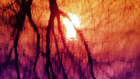 4K Reflection of sunset in water Stock Footage 73749515