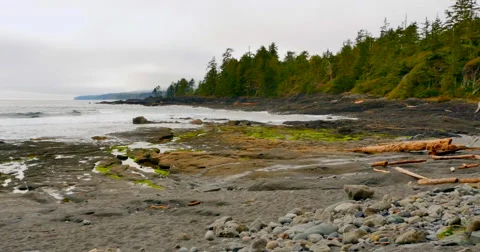 4K Remote Desolate Natural Beach on Pacific North West, Coast of North Amercia Stock Footage 48979987
