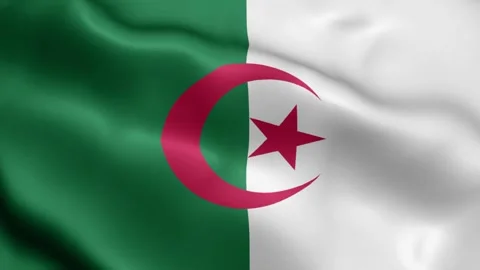 4k render Algeria Flag video waving in wind Algeria Flag Wave Loop waving in win Video stock 245420693