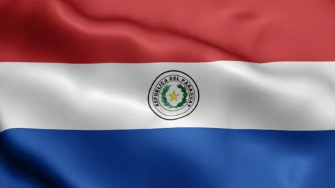 4k render Paraguay Flag video waving in wind Paraguay Flag Wave Loop waving in w Stock-Footage 245419965