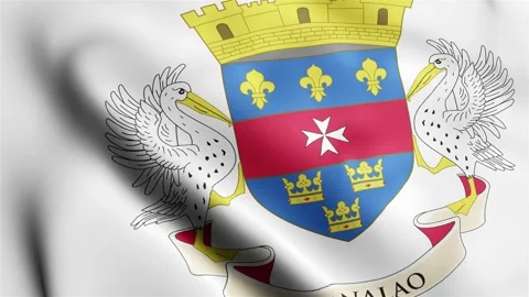 4k render Saint BarthÃ©lemy Flag video waving in wind Saint BarthÃ©lemy Flag Wav Stock-Footage 245420857