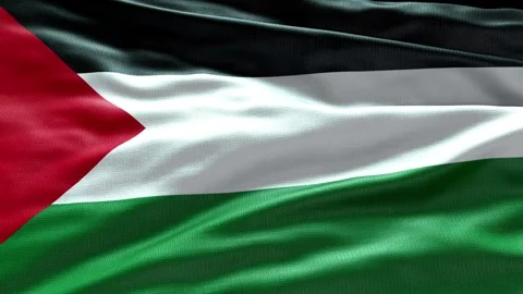 4k render State of Palestine Flag video waving in wind State of Palestine Flag W 스톡 동영상 246665384
