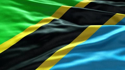 4k render Tanzania Flag video waving in wind Tanzania Flag Wave Loop waving in w Video stock 246665779