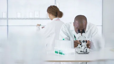 4K Research scientist working in laboratory, looking at sample under microscope. Stock Footage 73291232