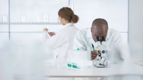 4K Research scientist working in laboratory, looking at sample under microscope. Stock Footage 73291632