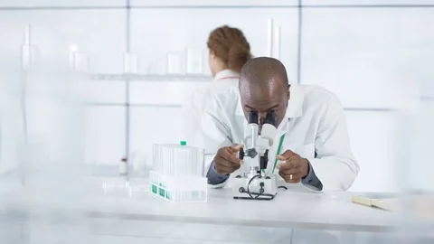 4K Research scientist working in laboratory, looking at sample under microscope. Stock Footage 73291711