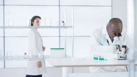 4K Research scientist working in laboratory, looking at sample under microscope. Stock Footage 73293635