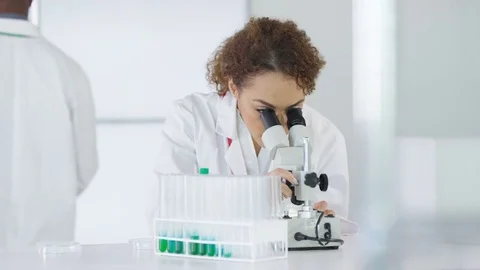 4K Research scientist working in laboratory, looking at sample under microscope. Stock Footage 73296003