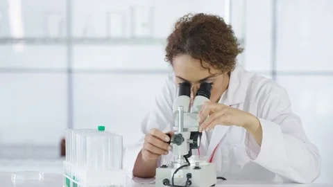 4K Research scientist working in laboratory, looking at sample under microscope Video stock 73297840