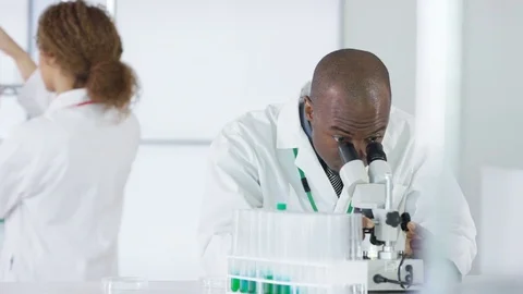 4K Research scientist working in laboratory, looking at sample under microscope. Stock Footage 73299081