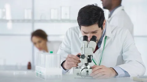 4K Research scientist working in laboratory, looking at sample under microscope. Stock Footage 73299823