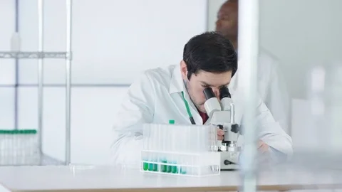 4K Research scientist working in laboratory, looking at sample under microscope. Stock Footage 73300349