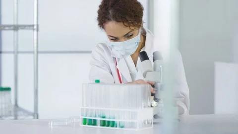 4K Research scientist working in laboratory, looking at sample under microscope. Stock Footage 73305034