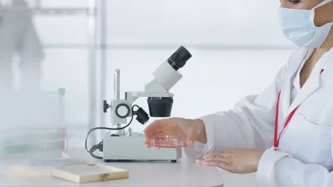 4K Research scientist working in laboratory, looking at sample under microscope. Stock Footage 73306236