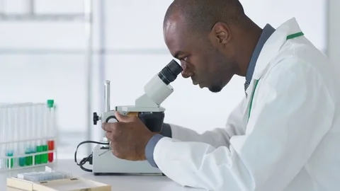 4K Research scientist working in laboratory, looking at sample under microscope. Stock Footage 73306837