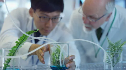 4K Research scientists checking plant samples in lab &amp; having discussion Stock Footage 64495391