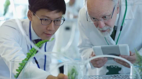 4K Research scientists checking plant samples in lab &amp; having discussion Stock Footage 64500063