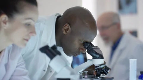 4K Research scientists looking into microscopes &amp; discussing results Stock Footage 69790814