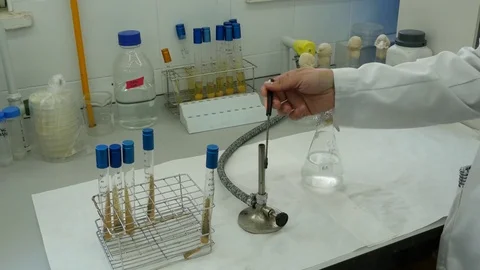 4K. Researcher working in laboratory Stock Footage