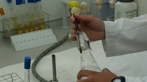 4K. Researcher working in laboratory Stock Footage