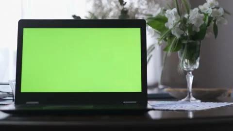 4k resolution and 25 fps, close up footage of green screen on laptop Stock Footage 154198475
