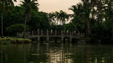 4k Resolution Thana walking the Park. Stock Footage 74216295